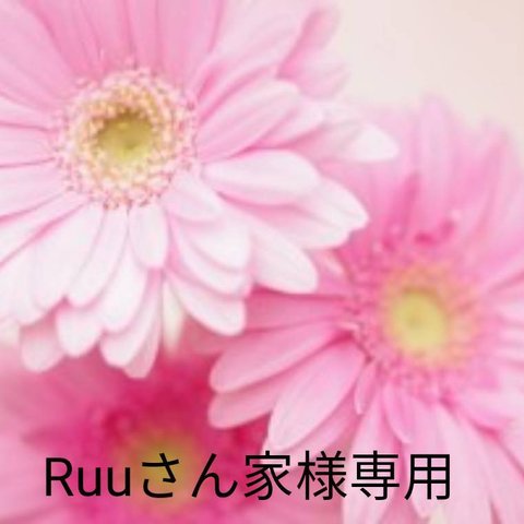 Ruuさん家様専用