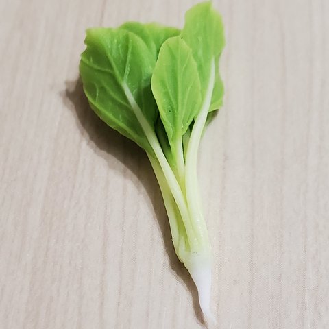 1/6サイズミニチュア野菜　小松菜