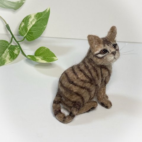 受注商品　♪mia♪ キジトラ　猫　置物　ぬいぐるみ　羊毛フェルト ハンドメイド 