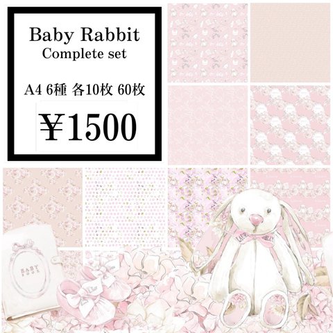 【D-22】Baby Rabbit