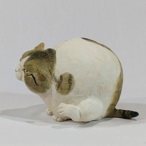 でぶ猫もんじゅ　耳の後ろが痒いらしい