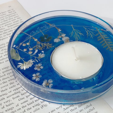 白い小花の青いシャーレランタン