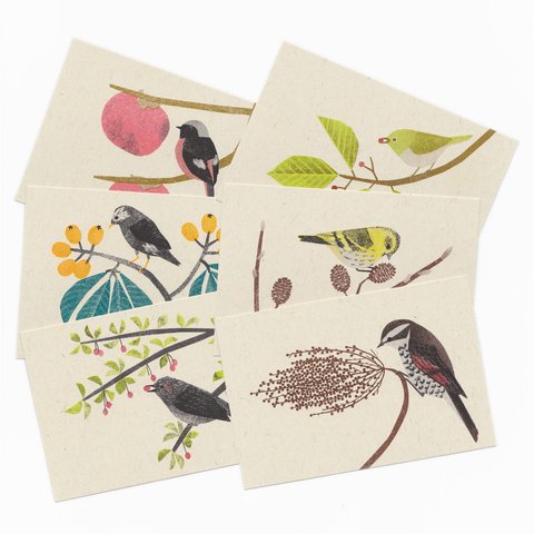 木の実と野鳥のポストカード（６枚セット）　◯とり　◯鳥　◯メッセージカード