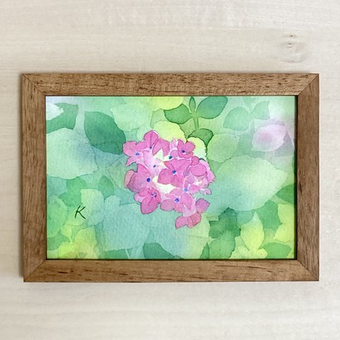 水彩画　原画　紫陽花