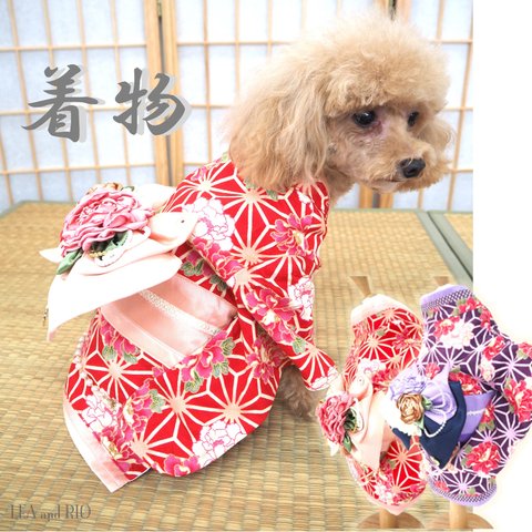 ♡新作♡ 着物 和服 和装 和柄 極小犬 超小型犬 パピー 小型犬 犬 猫 ペット 犬の服 猫の服 犬服 猫服 七五三 初詣 成人式 結婚式 お花見 花柄 P720 P721