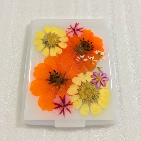 ✨黄花コスモス＆ムルチコーレ✨押し花 ミラー