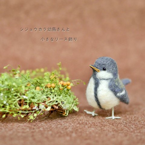 シジュウカラ幼鳥さんと、小さなリース飾り〜..:* 