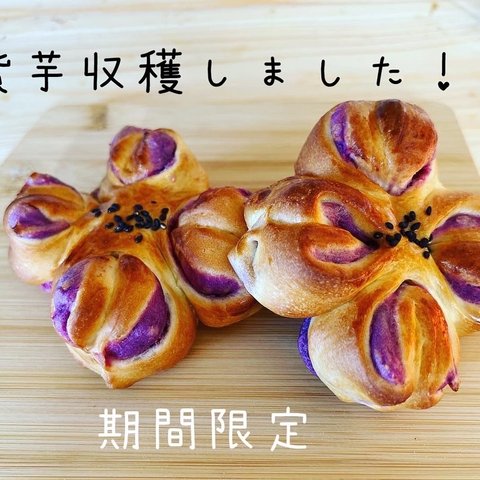 【秋限定】紫芋のお花パン2個セット