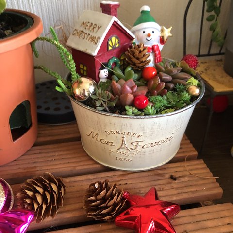 クリスマス多肉寄せ植え