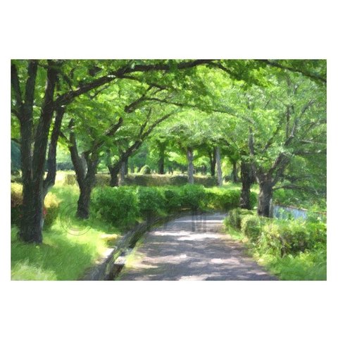 『葉桜の遊歩道』 厚塗り絵画風 A4サイズ　送料無料