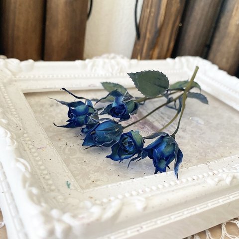 極小スプレー薔薇❣️オリジナル加工ブルーグリーン色❣️ハンドメイド花材ドライフラワー