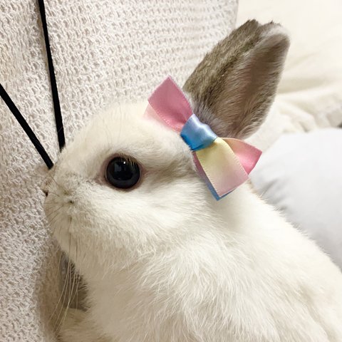 にじいろ🌈ちろるリボン🎀