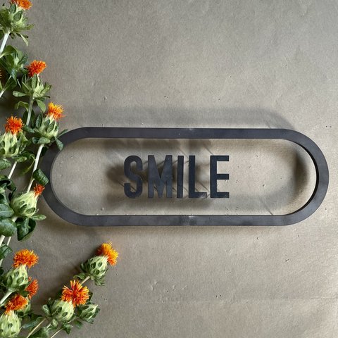 IRON ROGOPIN アイアンロゴピン「SMILE」長丸枠