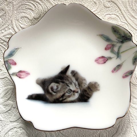 猫と桜の小皿・その5