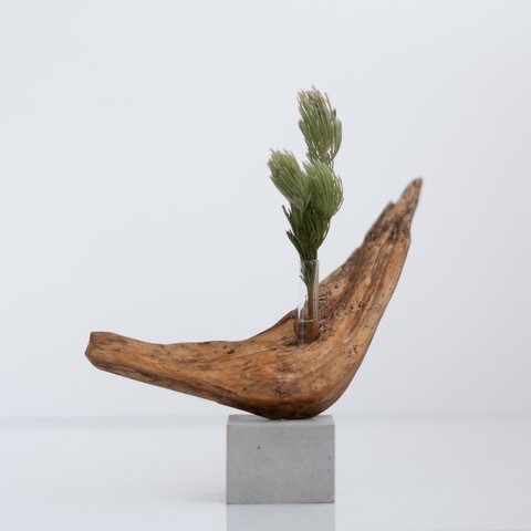 流木一輪挿し | driftwood flowervase | tsuki no.1