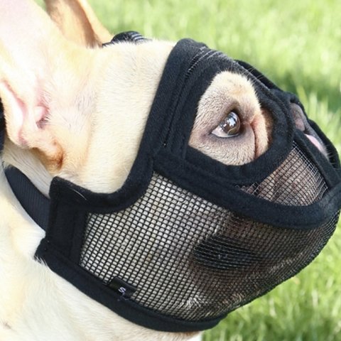 フレンチブルドッグ　噛み付き防止　拾い食い防止　マスク