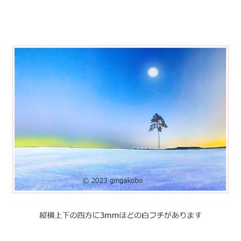 「繋がるといふ狼煙」　海　月　ほっこり癒しのイラストポストカード2枚組No.059