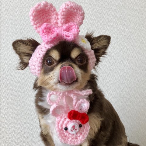 再販‼️犬用＆猫用 うさみみ帽子🐰💖 イースター🌼🐰🐾🐣🌷 ひよこ イースターエッグ 兎年