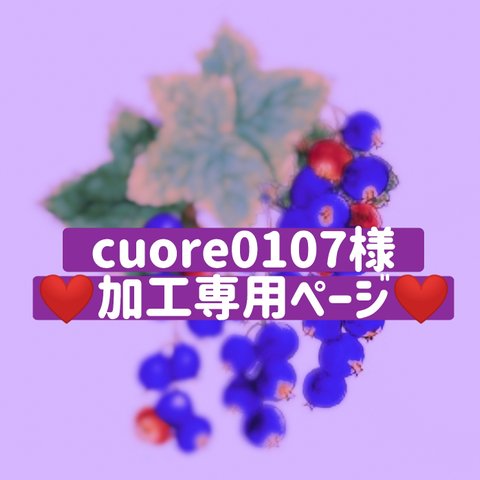 cuore0107様❤専用ページ