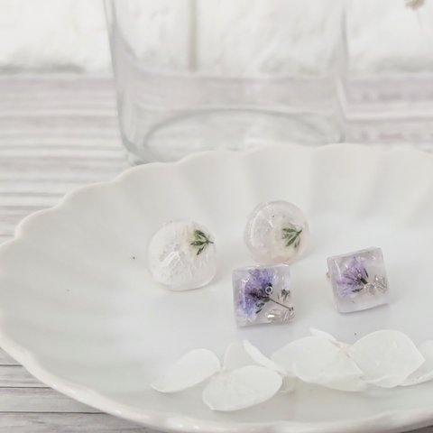 ☆ 2種 セット ☆ シンプル 小さな 華 (花) ピアス ～ 青 と 白 の カスミソウ & あじさい ～ 本物のお花 を 使った レジンアクセサリー ～ サークル + スクエア   