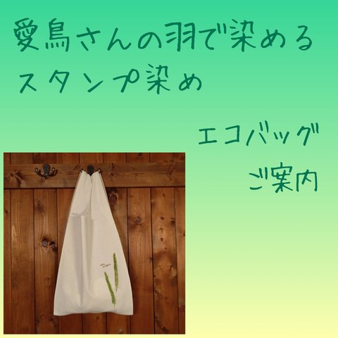 【エコバッグ】【オーダーメイド】愛鳥さんの羽で染める