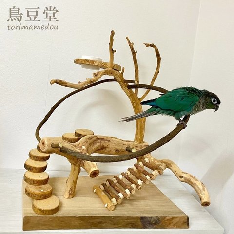 【展示用】自然木（ツタ）のぐるぐるバードアスレチック　バードジム　インコ　鳥まとり木