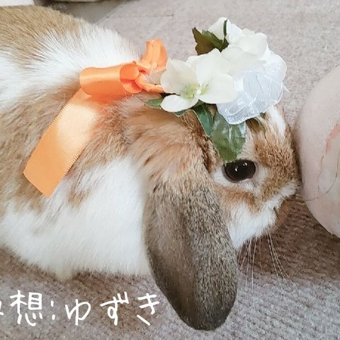 うさぎ花かんむり♡April