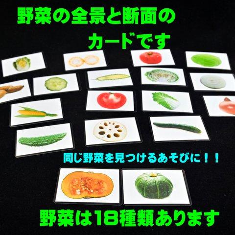 野菜カード(18種類）　断面は　モンテッソーリにも