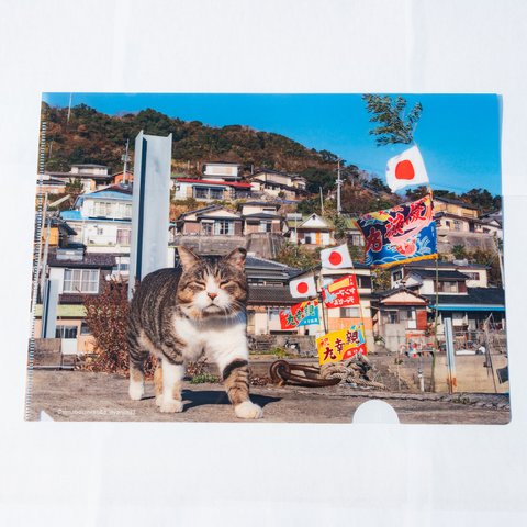 ⑥ボスと大漁旗クリアファイル　Boss cat＆big-catch flag A4 file folder