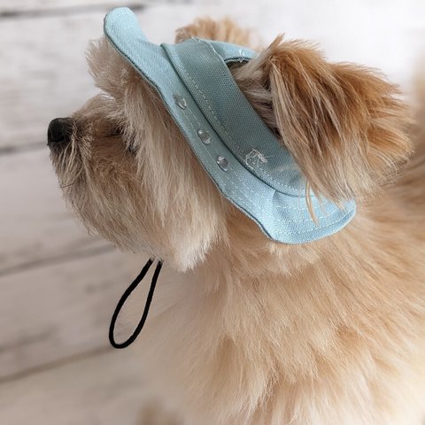 【送料無料】Ｓサイズ　スカイブルー　超小型犬　小型犬　帽子　耳出る帽子