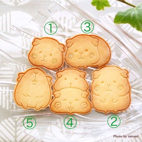 モルモット　③   スタンプ　クッキー型　（Design by satomi_0819）
