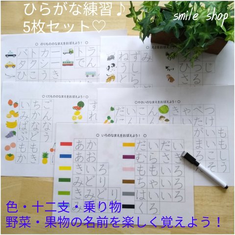 なぞって覚える♪ものの名前シート♡5枚セット&マーカー★絵付きでわかりやすい