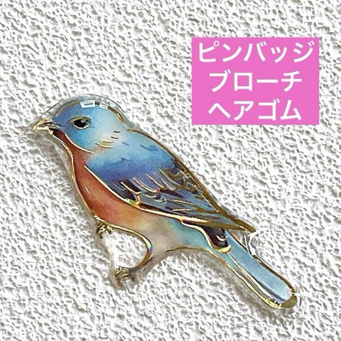 ルリツグミ　鳥　野鳥　ことり　レジン　ブローチ　ハンドメイド　チャーム