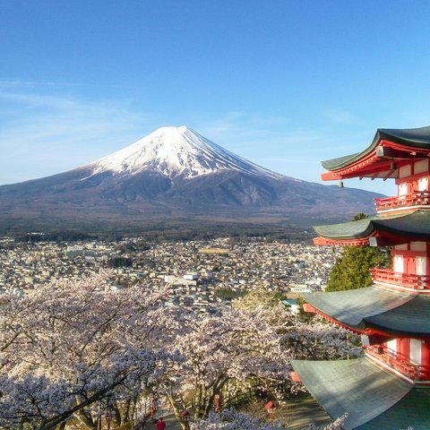 世界遺産 富士山と桜と五重塔 写真 A4又は2L版 額付き