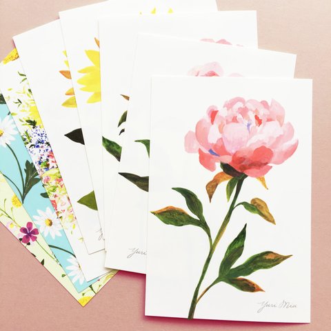 花々のポストカード・8枚セット｜Seasonal Flowers（芍薬、マーガレット、向日葵、野の花）