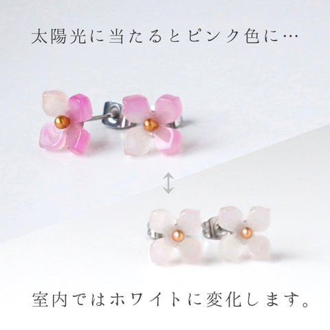 色が変わる＊紫陽花の一粒ピアス