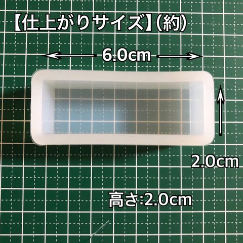 【2cm×6cm】シリコンモールド 長方形 四角形 深型 大きいサイズ 標本 四角型 昆虫