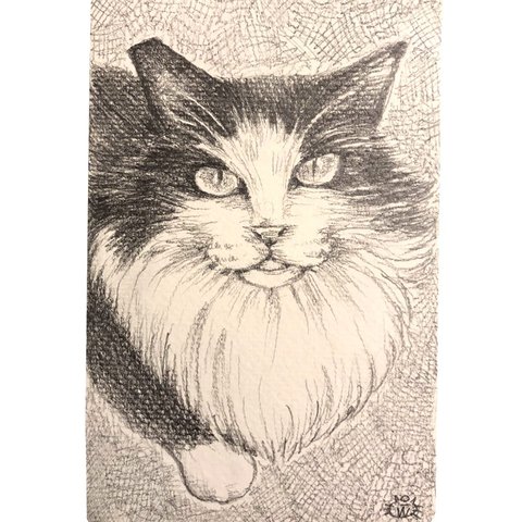 【鉛筆画】猫のみーちゃん🐈‍⬛鉛筆ミニ原画