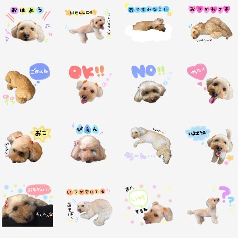 LINEスタンプ作ります◡̈⃝︎⋆︎*オーダー受付中