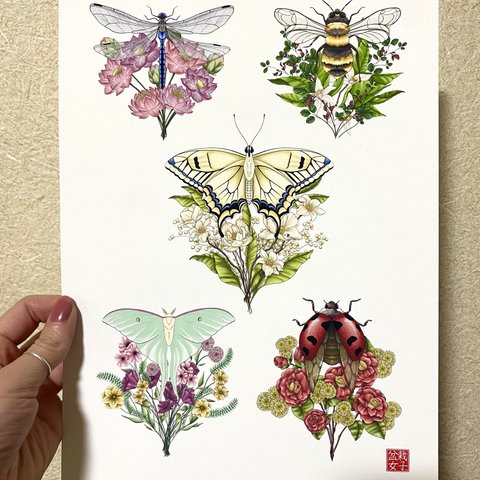 Flower Insect Bouquet Postcard 花と虫のブーケのはがき