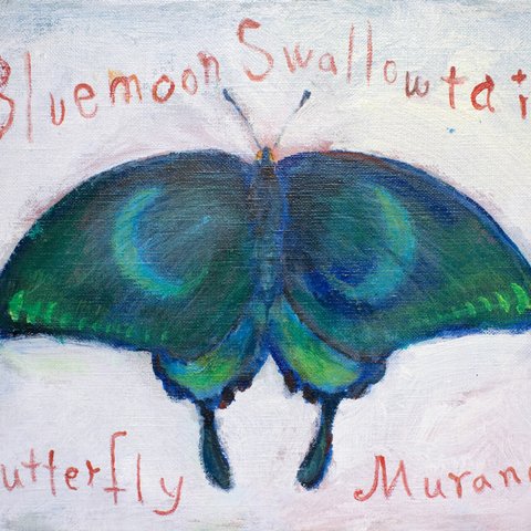 Blue Moon Swallowtail Butterfly