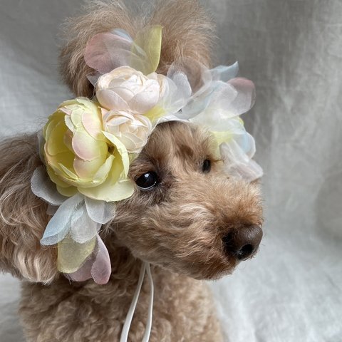 春の訪れ🌼カチューシャ(ラナンキュラス入り)