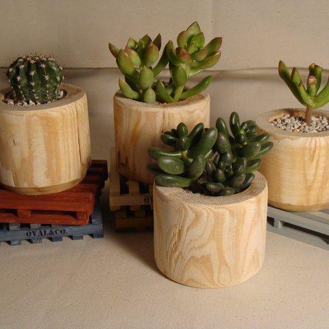 Driftwood and Succulents - ４つ1セット