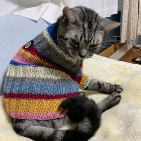 Mサイズ 手編みニット猫ちゃん用