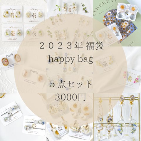 🌻【送料無料】ﾋﾟｱｽ/ｲﾔﾘﾝｸﾞ5点ｾｯﾄ ハッピーバッグ happybag 2023  福袋