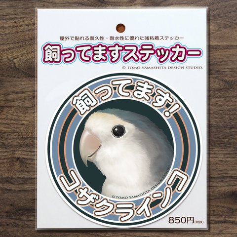 コザクラインコ（ブルー）飼ってますステッカー