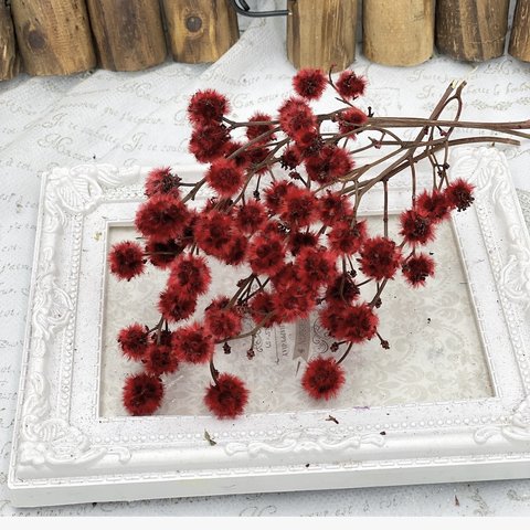 スターリンジャーレッド小分け❣️ハンドメイド花材カラードライフラワー