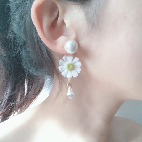 back pierce♡daisy 