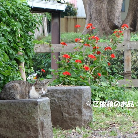 カトラリーケース(M)追加分