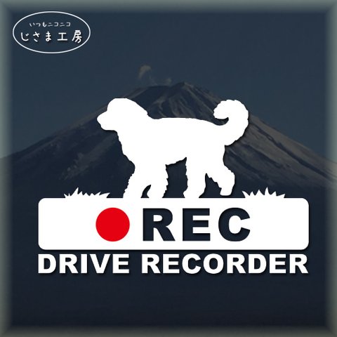 ゴールデンドゥ―ドルの白色シルエットステッカー‼後方注意‼『DRIVE　RECORDER』